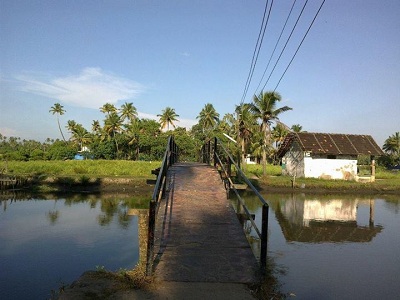 Nayaramabalam Nedungad Bridge